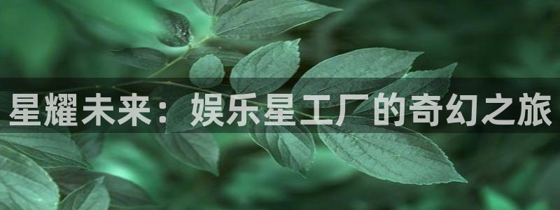 安信12：星耀未来：娱乐星工厂的奇幻之旅